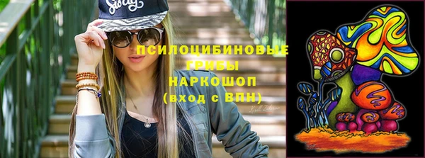 тгк Армянск