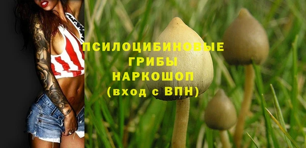 соль ск Аркадак